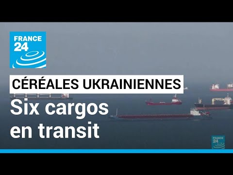 Céréales ukrainiennes : six cargos transitent à nouveau via le couloir humanitaire • FRANCE 24