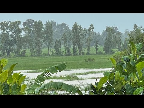 พายุฝน-ลมกันโชกแรง พายุฝน-ลมกันโชกแรง