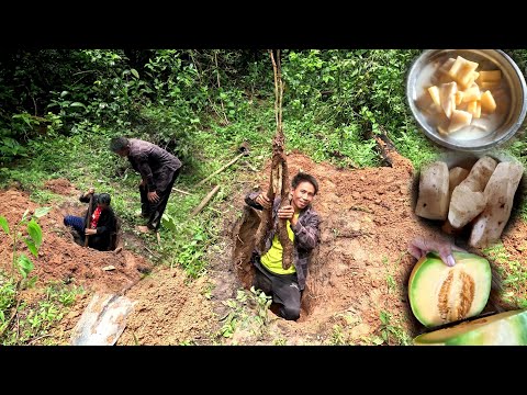 ຂຸດມັນຕ່າງມາເຮັດຂອງຫວານ|ขุดม