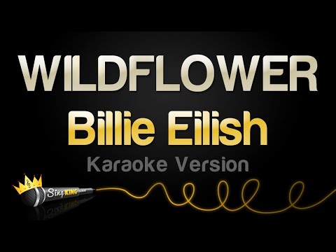 Billie Eilish - WILDFLOWER (Karaoke Version)