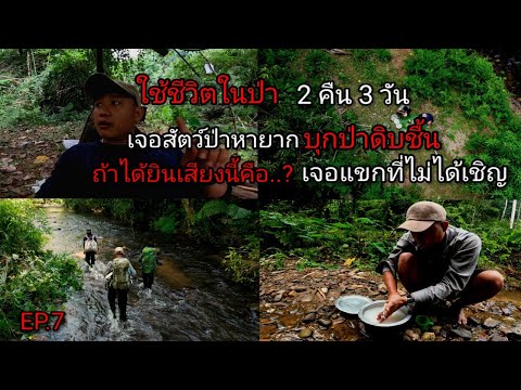 ใช้ชีวิตในป่า2คืน3วัน|เจ