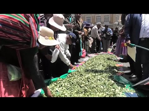 Coca Leaf Day observed in Bolivia while the government sponsors a campaign for its internal acceptan