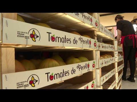 Éxito rotundo el 10º aniversario de la Feria del Tomate de El Perelló