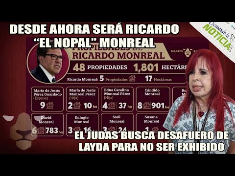 EL JUDAS MONREAL BUSCA DESAFUERO DE LAYDA, ESTO LE CONTESTÓ DIPUTADO