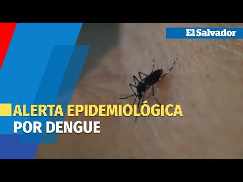 Alerta epidemiológica por dengue en El Salvador