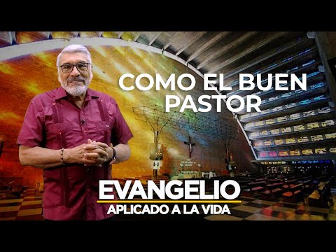 COMO EL BUEN PASTOR | Evangelio Aplicado (SAN JUAN 10, 11-18) - SALVADOR GOMEZ