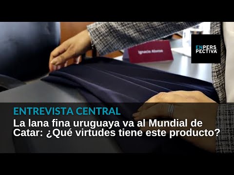 La lana fina uruguaya va al Mundial de Catar: ¿Cuál es su potencial en el mercado internacional?
