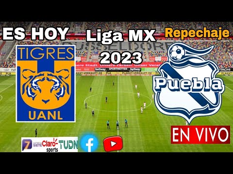 Tigres vs. Puebla en vivo, donde ver, a que hora juega Tigres vs. Puebla repechaje Liga MX 2023