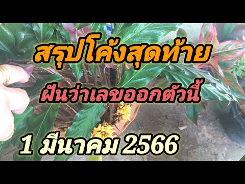 เลขเด็ดฝันซ้ำว่าเลขออกแล้วบน