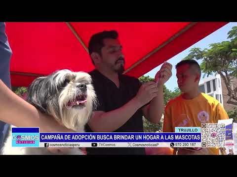 Trujillo: campaña de adopción busca brindar un hogar a las mascotas