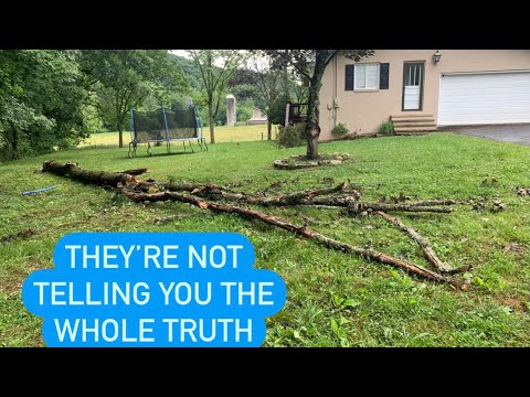 YouTube video thumbnail