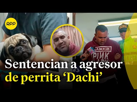 LO ÚLTIMO: Sentencian a sujeto que agredió a perrita 'Dachi'