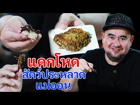 หม่อมถนัดแดก|แดกโหดสัตว์ประ