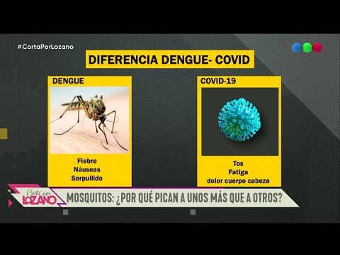 ¿Cómo cuidarse del mosquito  - Cortá Por Lozano 2021