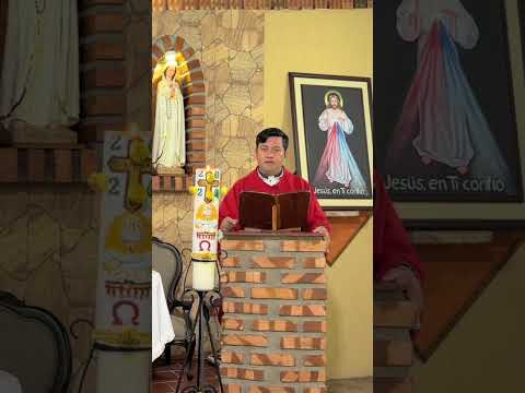 #EvangeliodeHoy #MisadeHoy Sábado 04 de Mayo de 2024 #Padre Ricardo Prato #Short