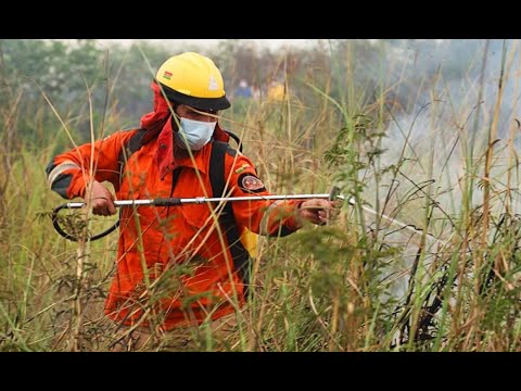 El fuego en Otuquis afecto más de 2400 hectáreas