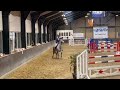 Cheval de CSO 6 jarig sportpaard