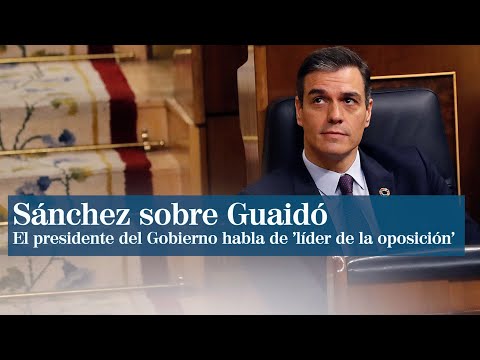 Pedro Sánchez trata a Juan Guaidó como líder de la oposición de Venezuela
