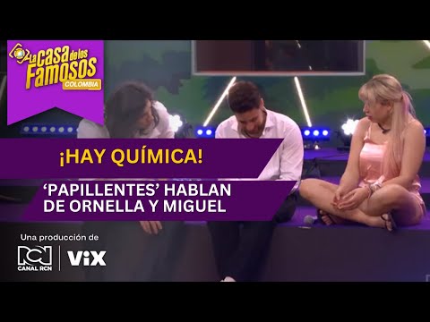 Melfi y Juan David opinan del beso de Ornella y Miguel | La casa de los famosos Colombia
