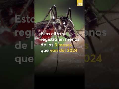 Autoridades de salud del departamento de Cortés, registran mas de 1,300 casos de dengue