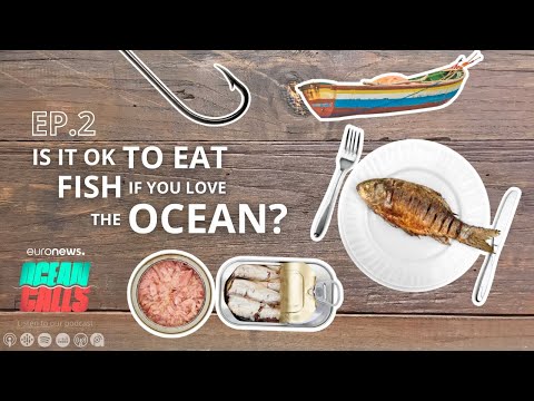 Podcast: Is it OK to eat fish if you love the ocean? We ask sustainability experts