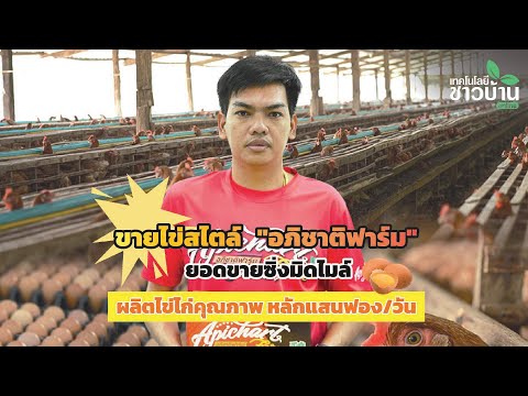 ขายไข่ไก่สไตล์อภิชาติฟาร์ม|