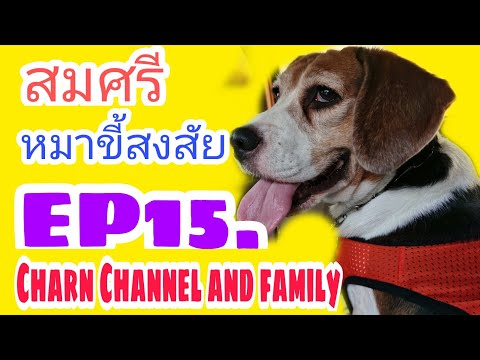 Charn​Channel​and​family​ต