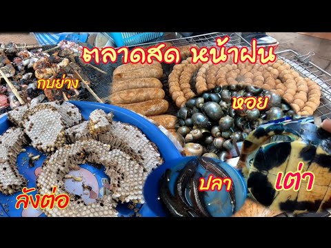 กบย่าง-ลังต่อ-กุ้งหอยปูปลา-มีท กบย่าง-ลังต่อ-กุ้งหอยปูปลา-มีท