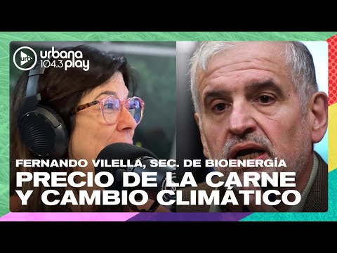 Precio de la carne y cambio climático: Fernando Vilella, secretario de Bioenergía #DeAcáEnMás