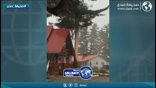 صاعقة تحرق شجرة