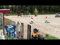 障碍赛马匹 Braaf springpaard