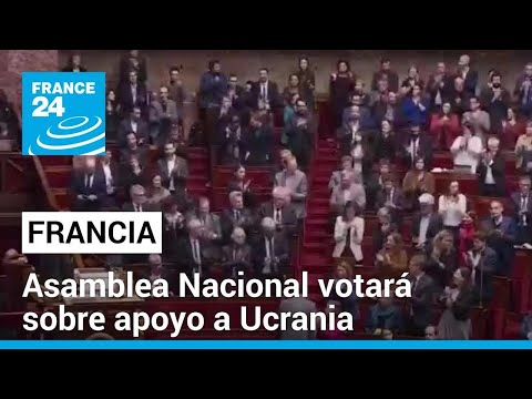 Parlamento analizará la estrategia francesa de ayuda a Ucrania • FRANCE 24 Español