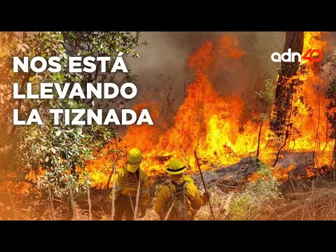 Incendios forestales en Hidalgo y EdoMex, ¿fueron provocados? I Súbete al Mame