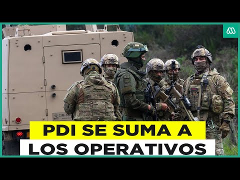 Masivo operativo en Cañete: Búsqueda incesante de los responsables de la emboscada a Carabineros