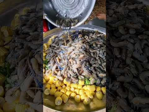 กุ้งปูหมึกจัดเต็ม|เอิร์ธสดชื