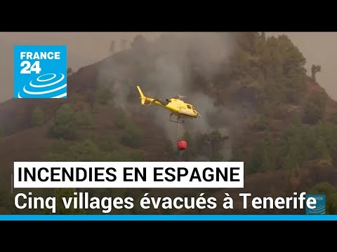 Incendies en Espagne : cinq villages évacués à Tenerife • FRANCE 24