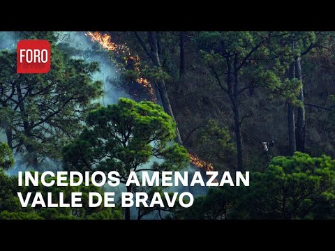 Incendios forestales en Valle de Bravo pudieron ser provocados  - Las Noticias