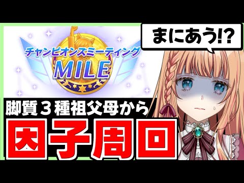 【ウマ娘/チャンミ】地獄の脚質３種因子周回【朝活🌅1135日目】