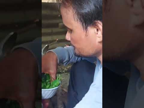 แกงเห็ดตับเต่าพี่ดอนน้องเดฟ