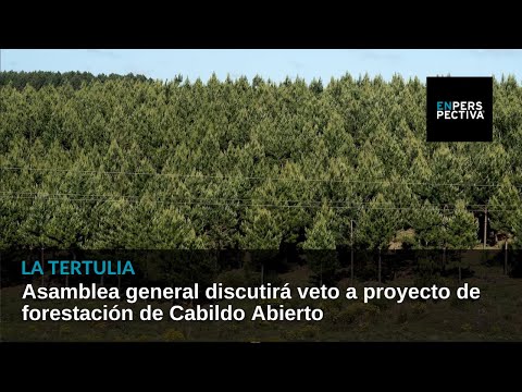 Asamblea general discutirá veto a proyecto de forestación de Cabildo Abierto