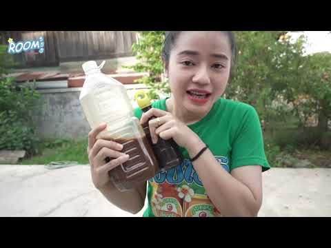 EP30.-ส้มตำรสเด็ดจากปลาร้าที่ท EP30.-ส้มตำรสเด็ดจากปลาร้าที่ท