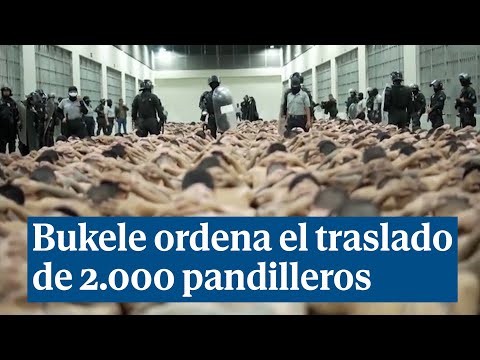 Bukele ordena el traslado de 2.000 pandilleros: Pagarán por los crímenes contra nuestro pueblo