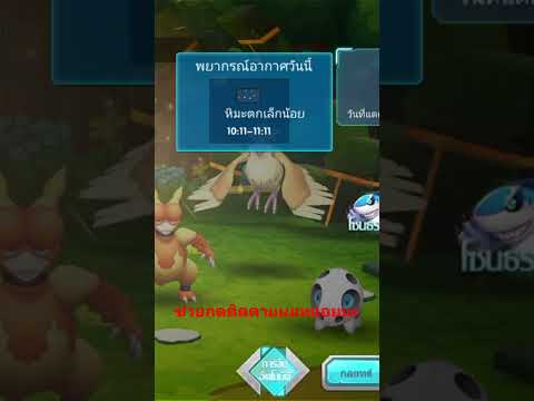 pokesagaประกรอากาศวัน181167