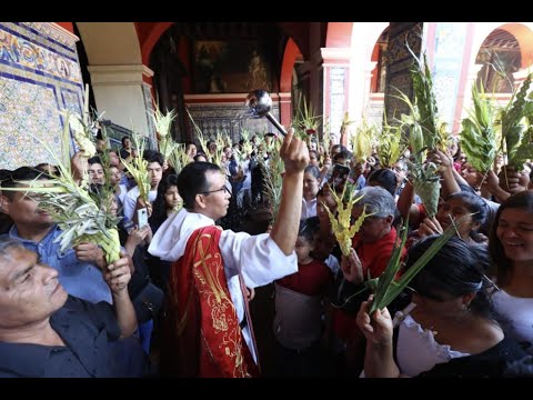 Semana Santa: Fieles demostraron toda su fe en Lima y provincia en este Domingo de Ramos