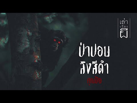 เล่าเรื่องผีEP.338|ป่าปอบลิ