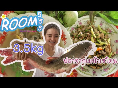 EP28.เมนูปลาคังยักษ์ກ້ອຍປາເຄ EP28.เมนูปลาคังยักษ์ກ້ອຍປາເຄ