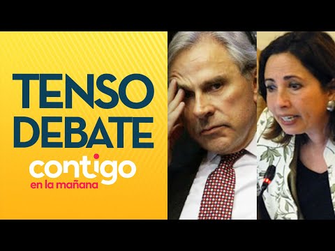 ¡NO LE VENDAMOS HUMO AL PAÍS! El acalorado debate entre Alejandra Sepúlveda e Iván Moreira