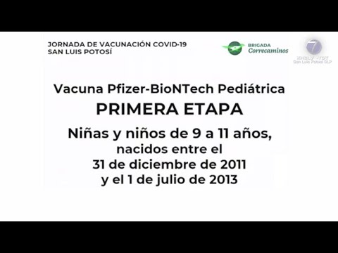 En infantes de nueve a 11 años se aplicaría primera etapa de vacunación pediátrica contra COVID-19.