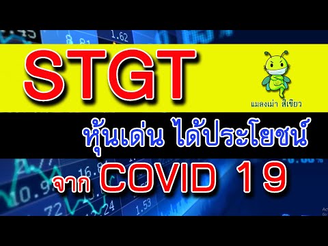 190464รวยด้วยหุ้น:STGTหุ