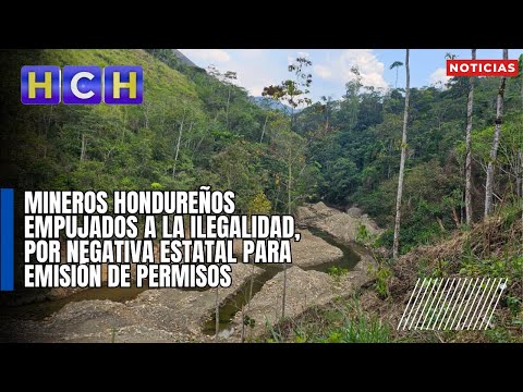 Mineros hondureños empujados a la ilegalidad, por negativa estatal para emisión de permisos